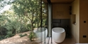 A bath reflected in glass window facade with wooded landscape outside.