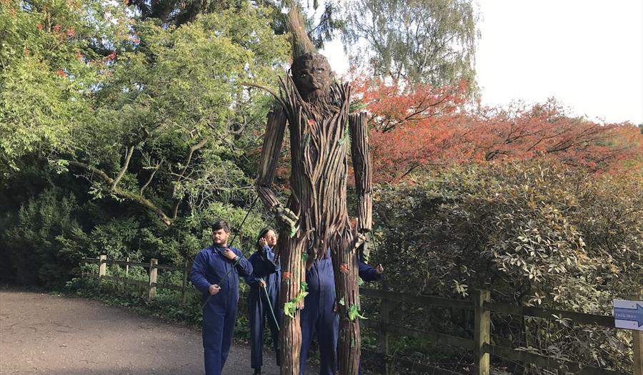 a photograph of a large wicker scarecrow figure being held by three men.