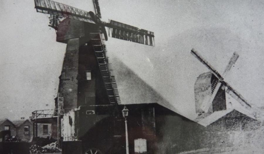 Black and white photo of windmills