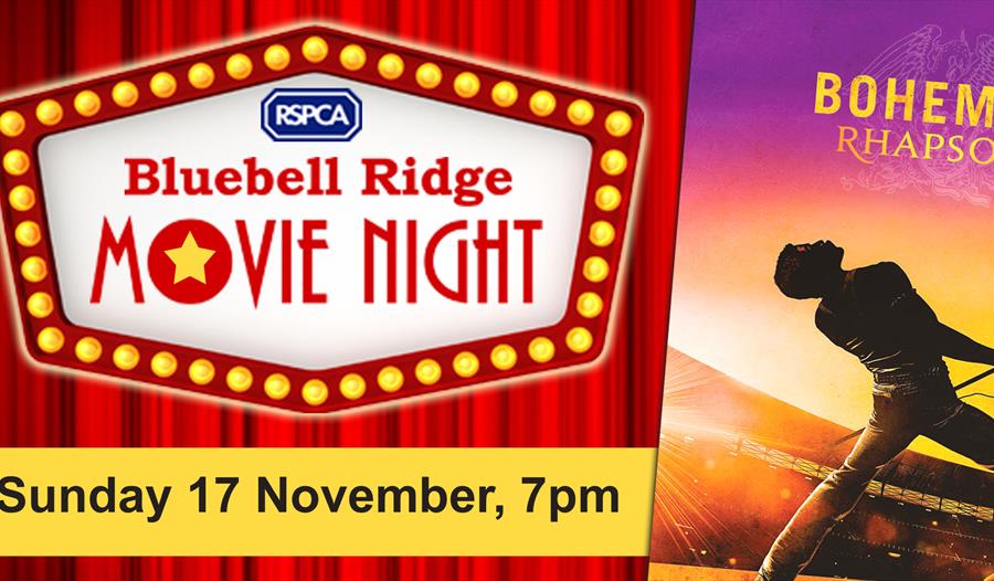 Bluebell Ridge Movie Night at Kino-Teatr