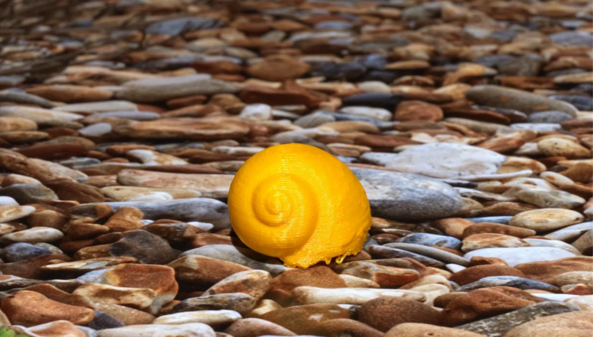 Image shows the beach with pebbels and a shell that is a yellow / orange colour. Image shows the beach with pebbels and a shell that is a yellow / orange colour.