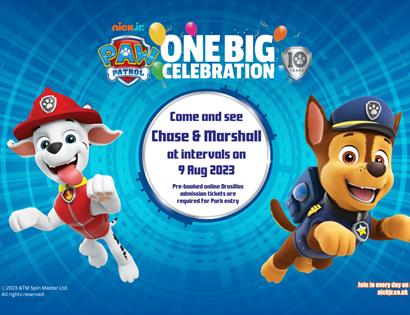 Poster with Paw Patrol characters.