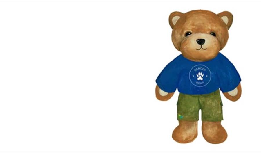 Picture of a teddy bear in blue top and green shorts, against a white background.