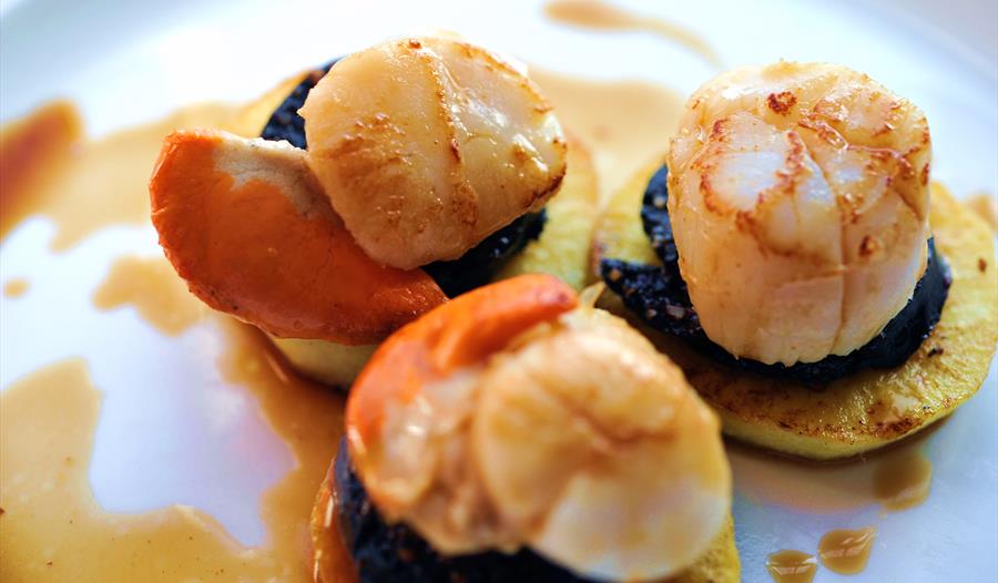 three scallops served on a plate.
