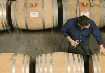 birds eye view of vineyard room with wine barrels and man holding white wine.