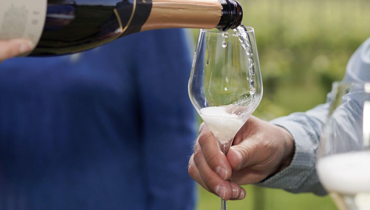 close up of a held wine glass being poured with blurred vineyard in the background