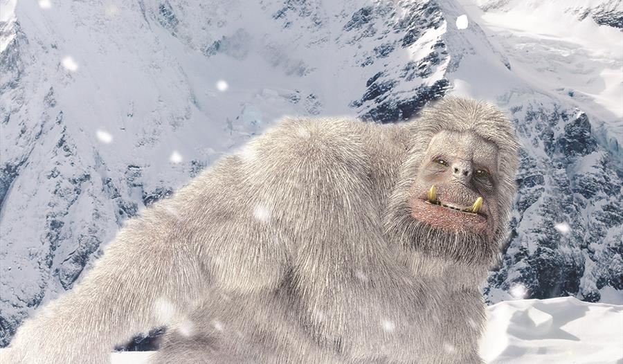 Meet the Abominable Snowman