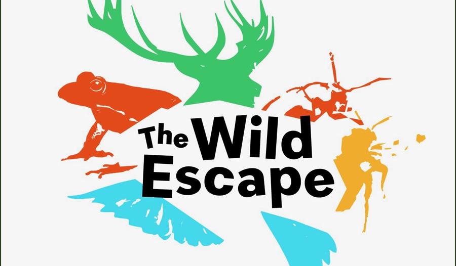 White poster with colour silhouette of different animals, a frog, stag and beetles. In the centre, the black text says 'The Wild Escape'.