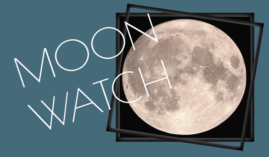A poster with plain blue background and square photograph of the moon. Text over it says Moon Watch.
