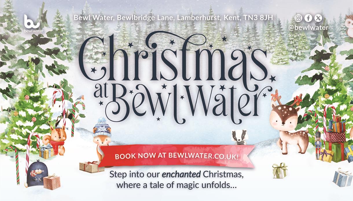 Christmas at Bewl Water