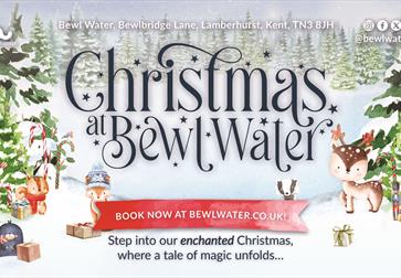 Christmas at Bewl Water