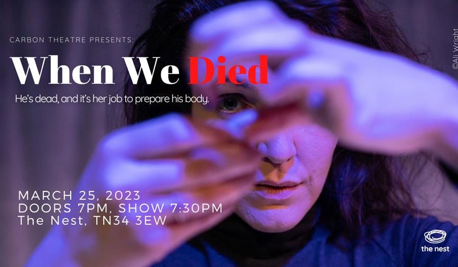 Poster with a womans face obscured by her hands in the foreground. The text overlaid says "When we Died" as the show name.