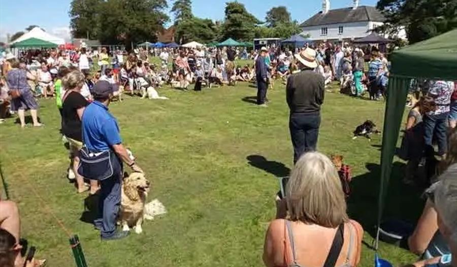 Photograph of outdoor dog show with spectators.