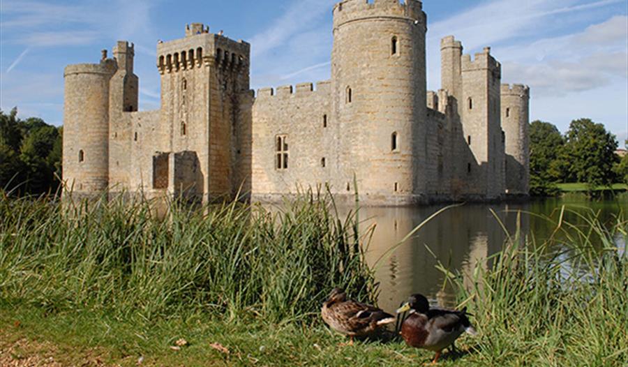 Guided moat walk at Bodiam Castle