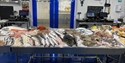 Counter at Rye Fish Market