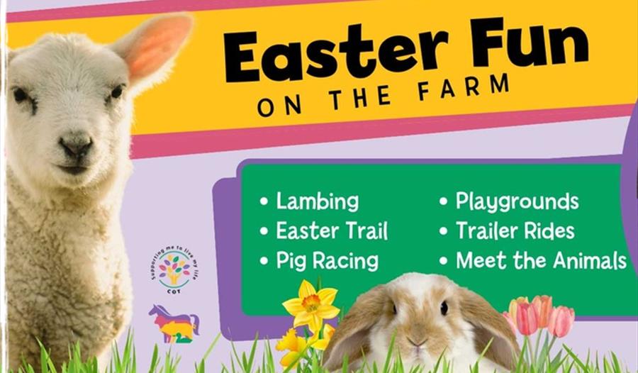 Poster for Easter Fun at Rare Breeds