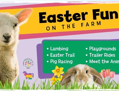 Poster for Easter Fun at Rare Breeds