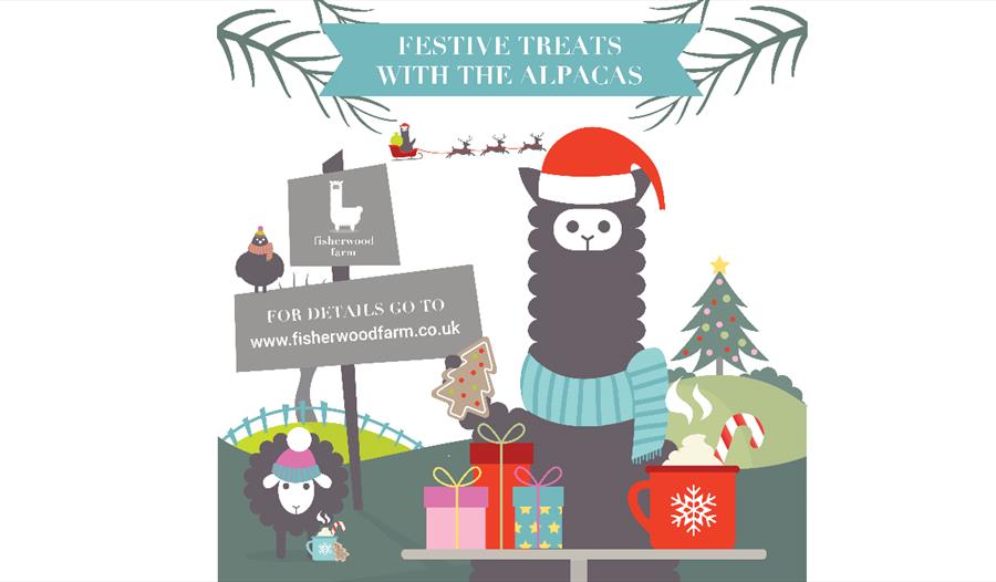 Poster with graphic of alpaca in christmas hat for fisherwood farm.