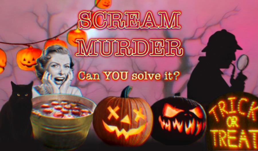 A poster for halloween event. Pink background with images at bottom including a woman screaming, a black cat, pumpkins, and a silhouette of a detectiv