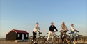 group of four adults on bikes stop to pose for the camera. There is a large blue sky in the background, a small black hut with a red roof, and beach s