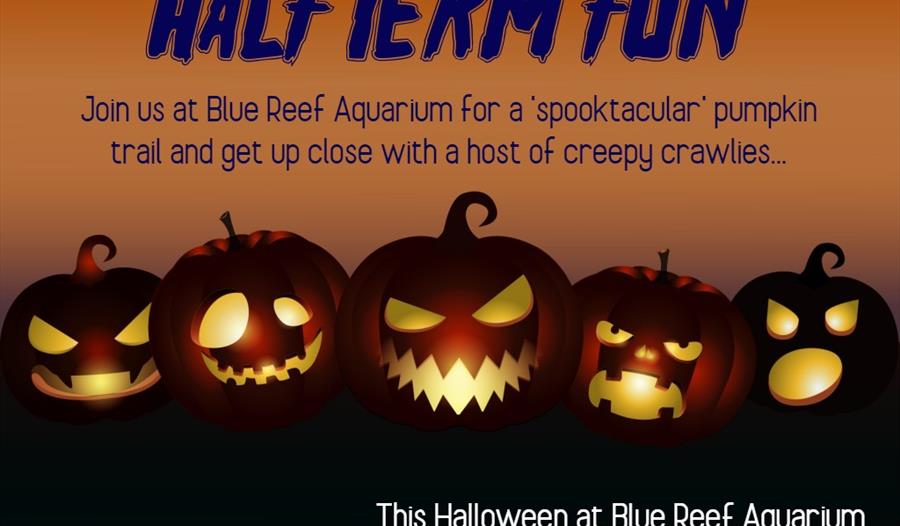 The Blue Reef Aquarium Spooktacular Halloween Trail