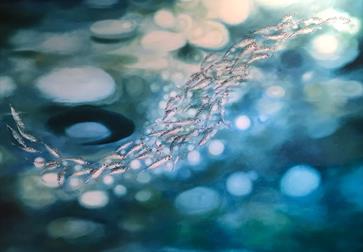 abstract painting of water