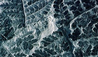 Annual Family Fossil Hunt