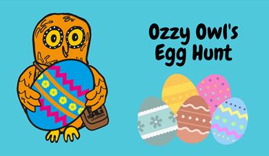 Ozzy Owl's Egg Hunt