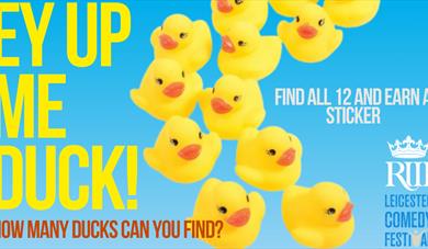 Duck Hunt at the King Richard III Visitor Centre