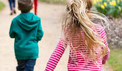 Ben Plants a Butterfly Trail at Petworth, National Trust
