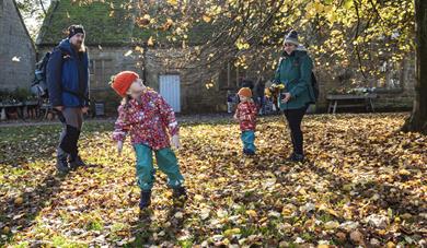 October Half Term at Hardwick