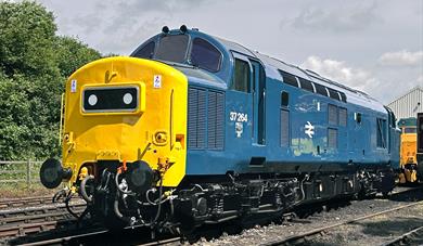 NYMR Annual Diesel Gala