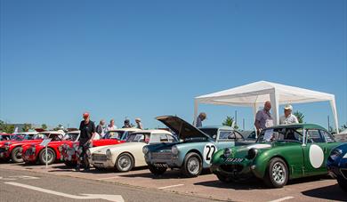 BMC and Leyland Show at the British Motor Museum