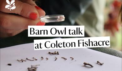 Barn Owl talk at Coleton Fishacre