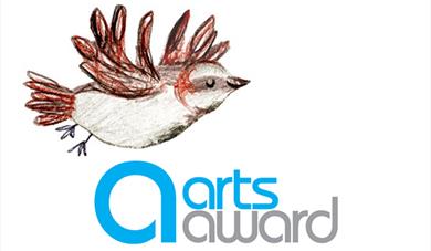 Discover Arts Award at RAMM