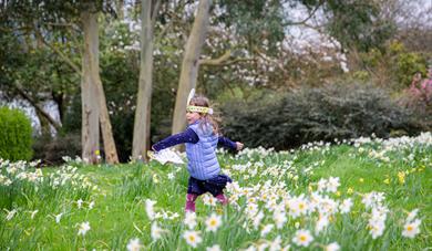Easter Adventures at Plas Newydd House and Garden, Ynys Môn (Anglesey)