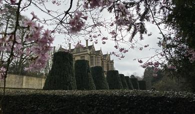 Burns Night at The Hall