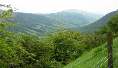 Guided Walk - In Aneurin's Footsteps