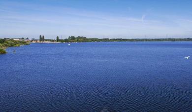 Chasewater lake