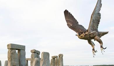 Victorian Falconry at Stonehenge
