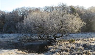 Halloween Wildlife Adventure