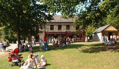 Ask the Gardener: Pruning Soft Trees