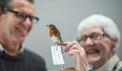 Dementia-friendly Object Handling