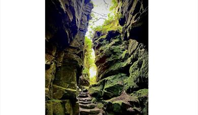 © Martina Tenzer, Walk 1 - Lud's Church Magial Places: Lud's church.