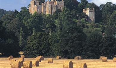 Dunster Castle