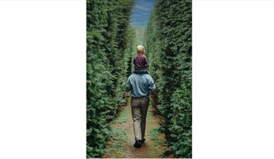 Little boy being carried on his dad's shoulders through trees
