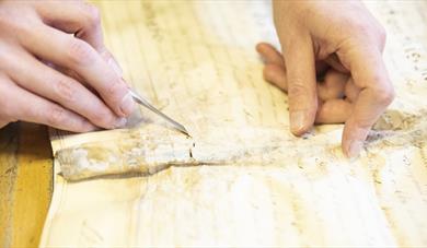 Conservation Manuscript