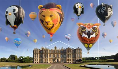 Sky Safari Longleat