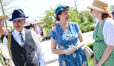 Vintage Fair Weekend