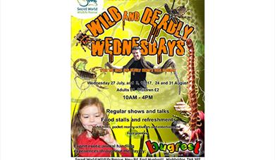 Wild and Deadly Wednesdays at Secret World Wildlife Rescue
